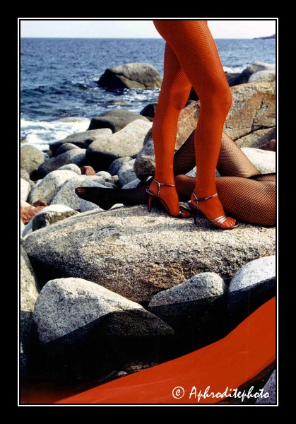 104 Couleurs sur le rivage